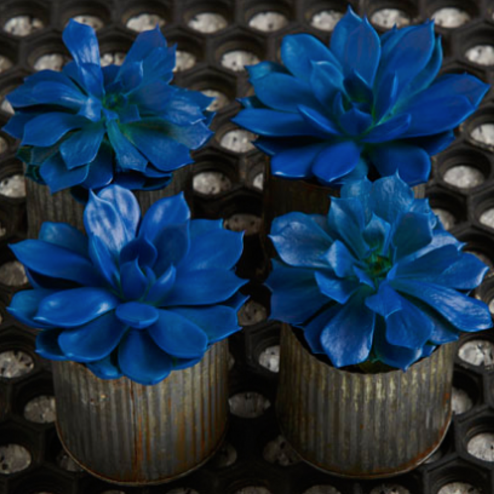 686 Colortool blue marlin