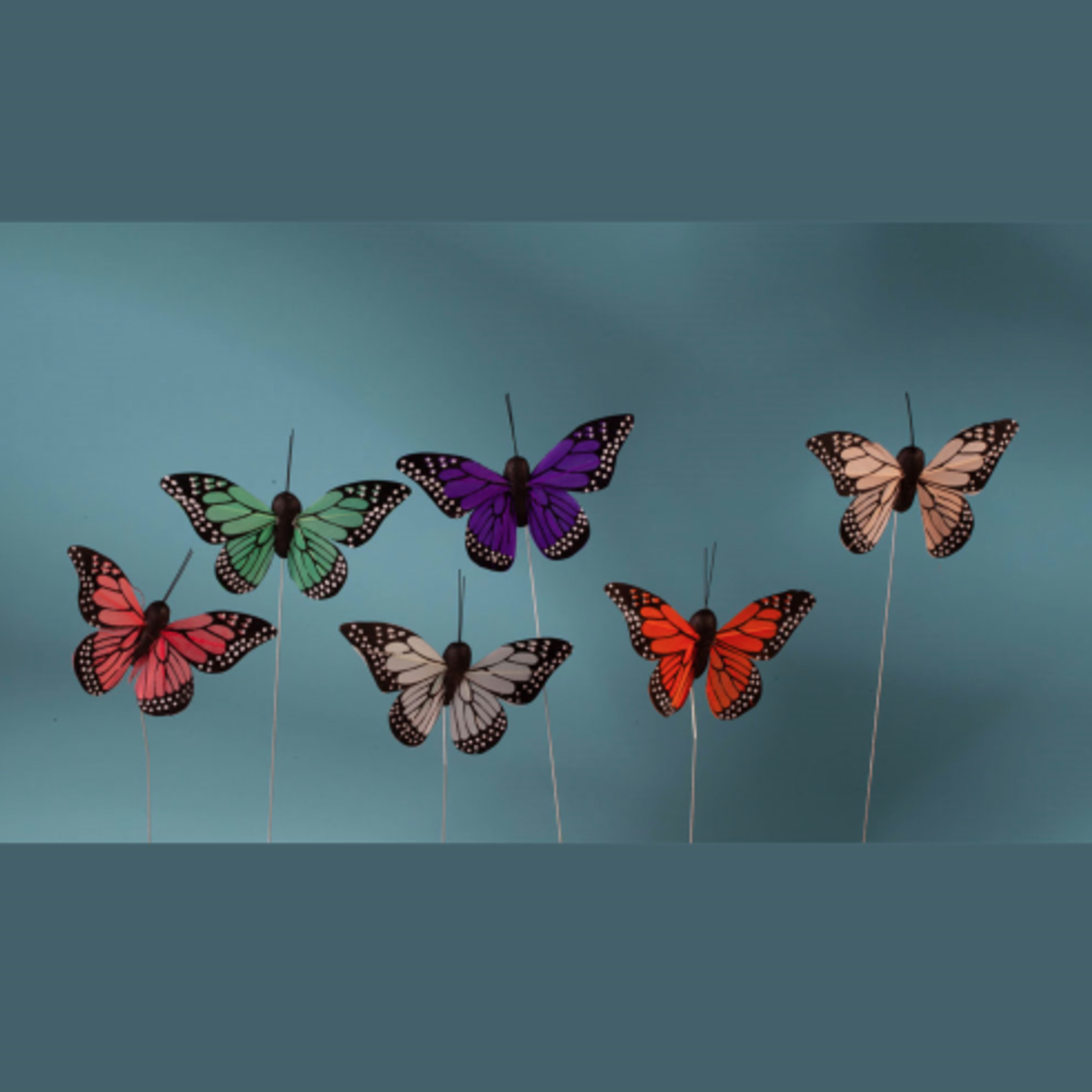 2.5'' ASSORTED FEATHER BUTTERFLIES