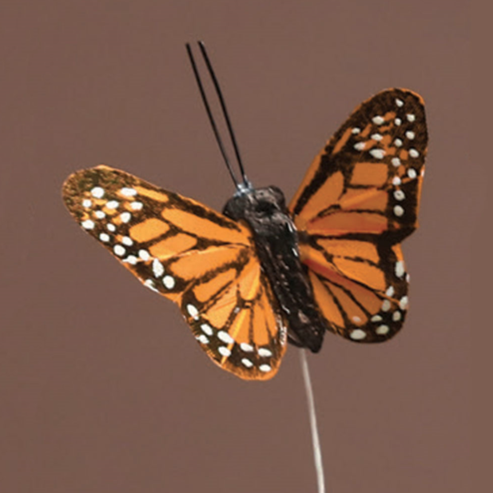 2’’ MONARCH BUTTERFLIES, 2 DZ