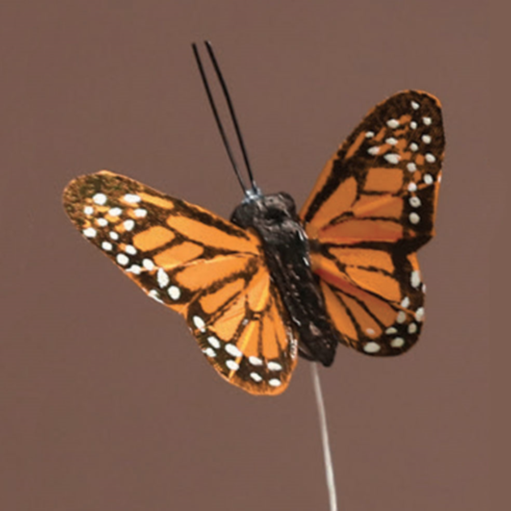 3’’ MONARCH BUTTERFLIES