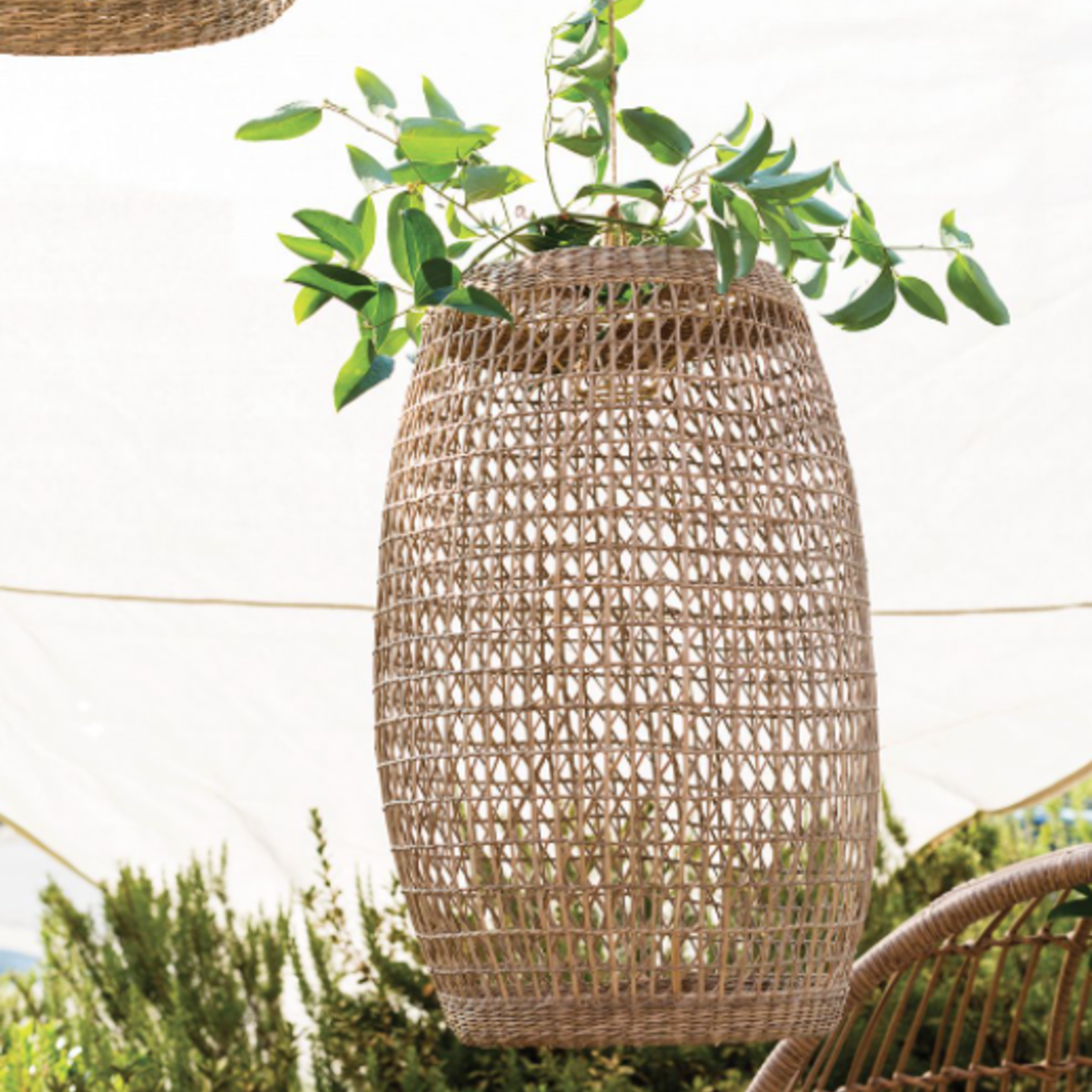 21”H X 15.5” NATURAL RYE LANTERN (AD)