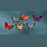 4'' FEATHER BUTTERFLY ASSORTED, 12pk