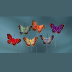 4'' FEATHER BUTTERFLY ASSORTED