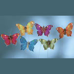 2.5'' FEATHER BUTTERFLY, 12pk