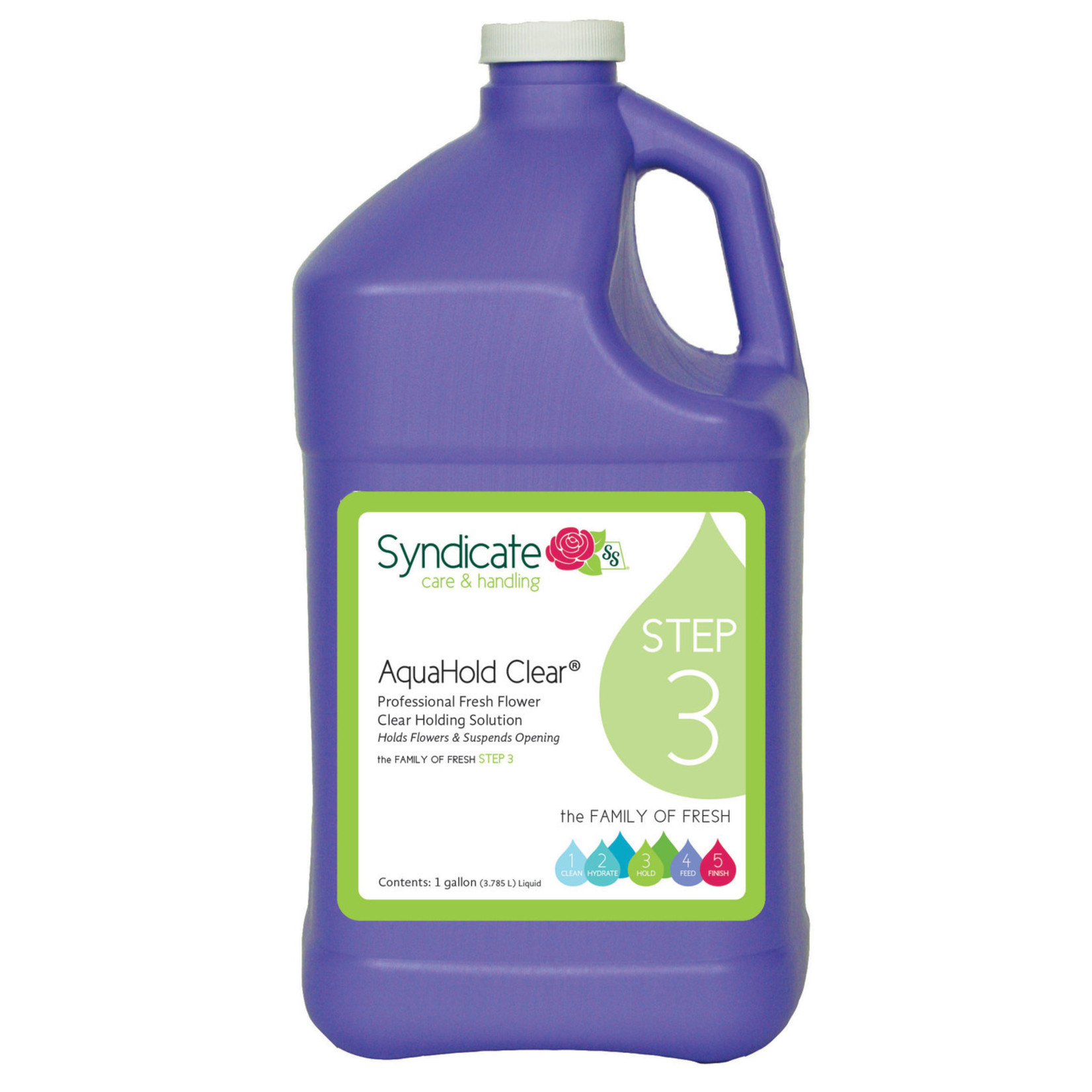 AquaHold Clear, 1gal Bottle - No Color