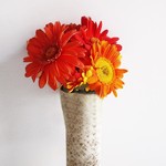 20 X 28'' BIRCHWOOD SHEET, 12 PCS REG $12.99