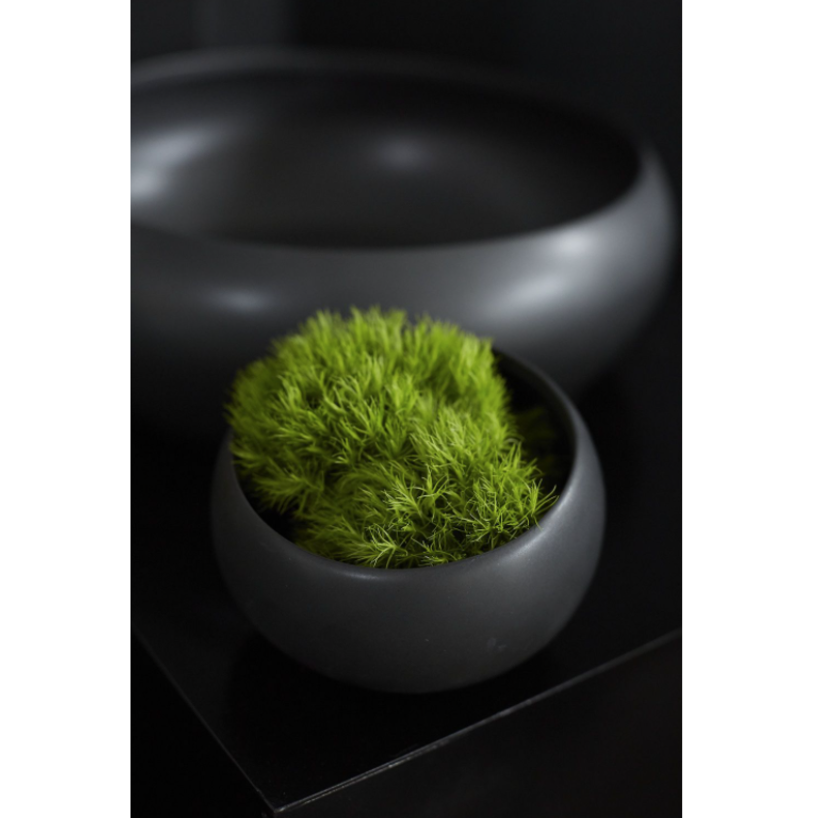 7.5"x 5.25”H BLACK Simply Collection ANGLED BOWL (AD)