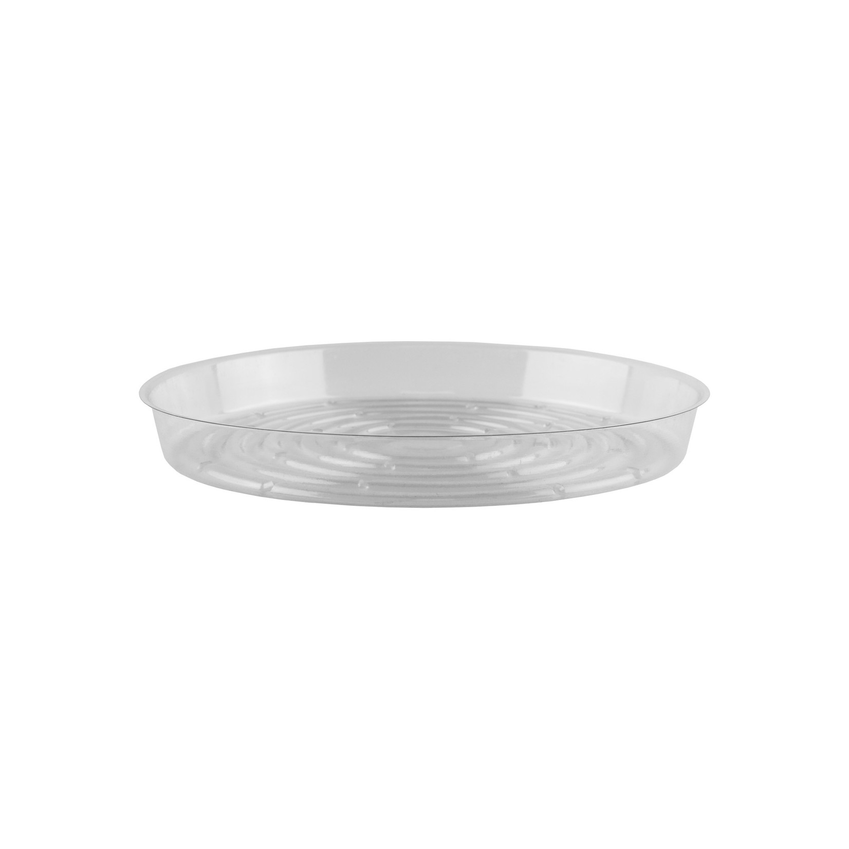 10" Saucer - Crystal