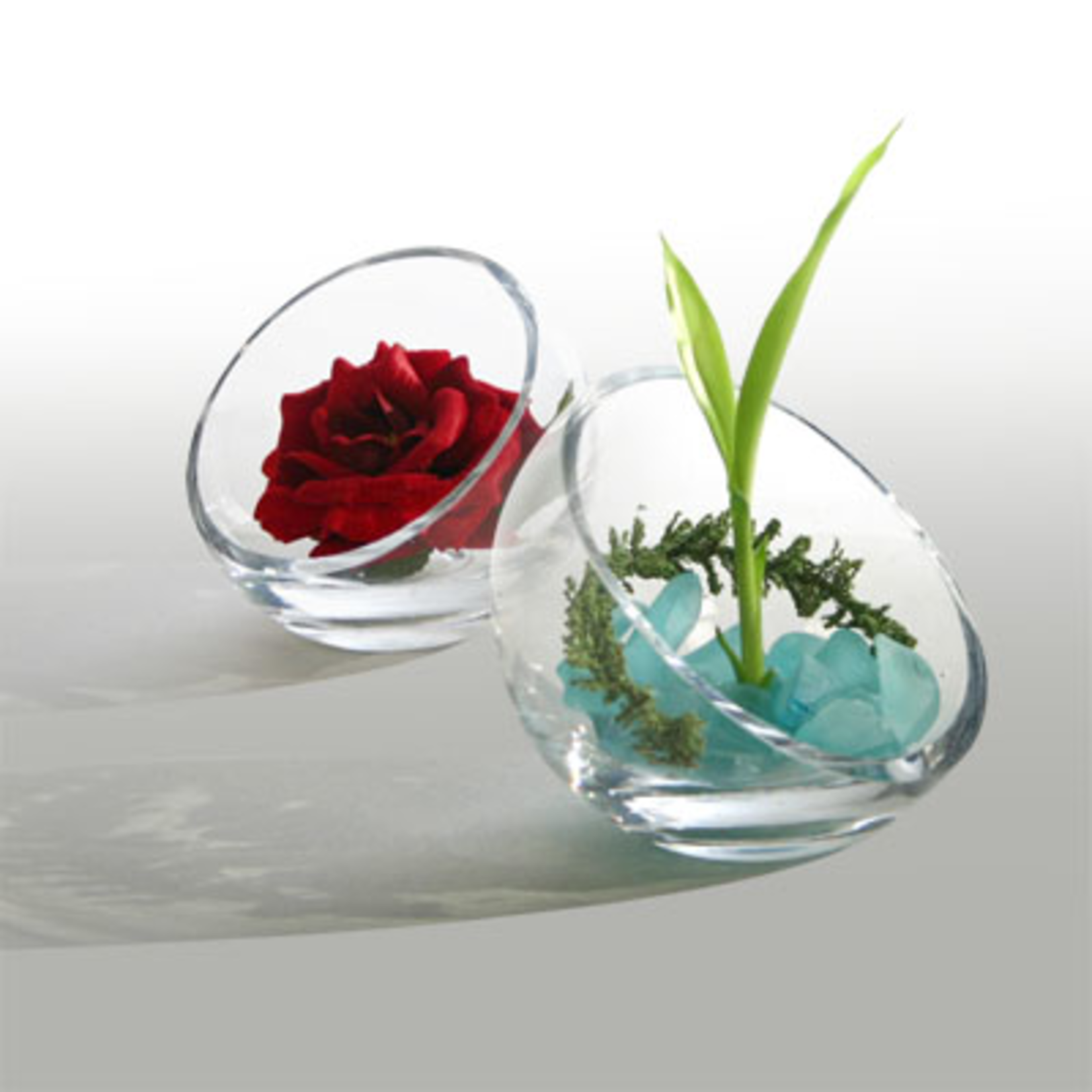 8.5"H X 9.5" SLANT CUT POD VASE
