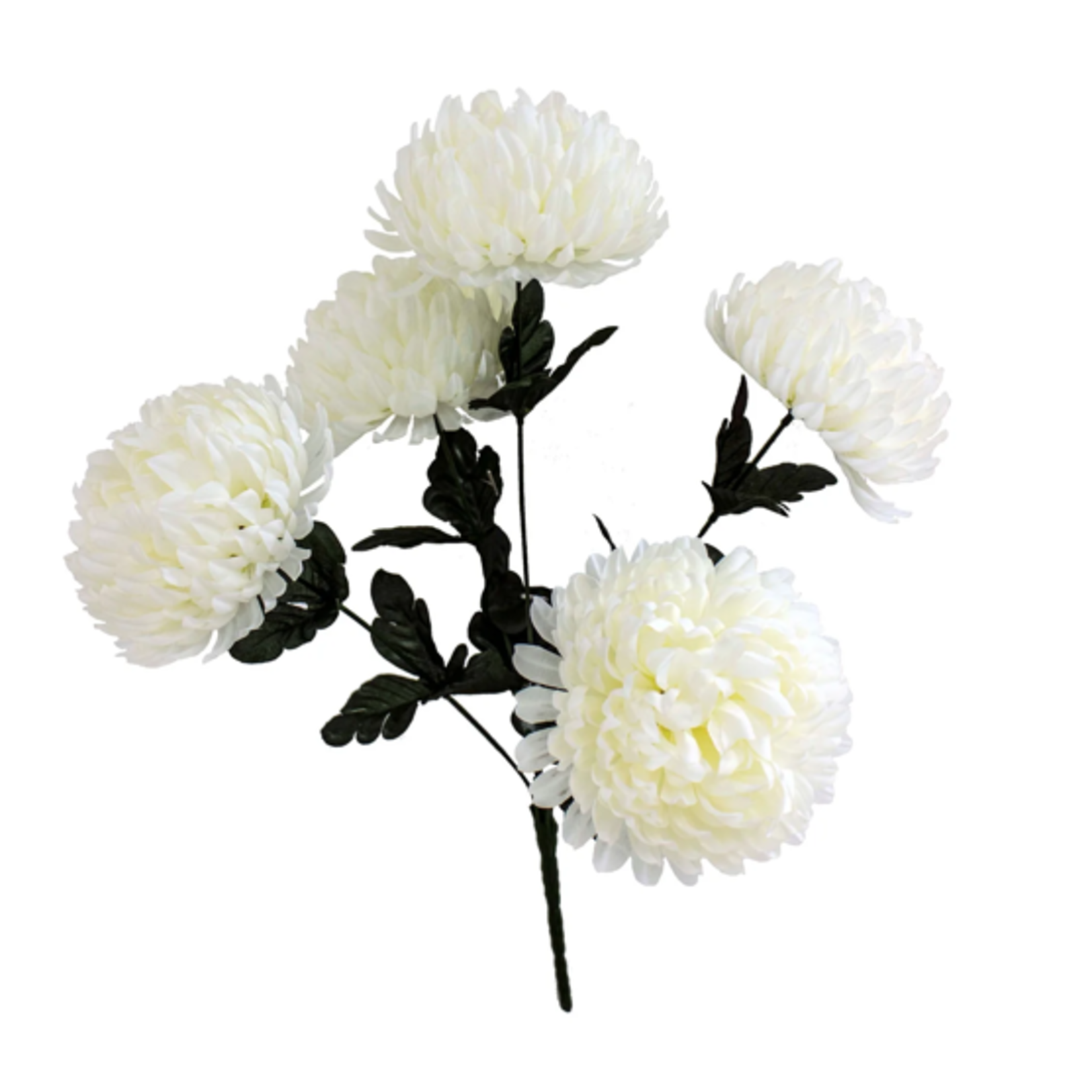 BALL MUM  X5 CREAM, reg $5.99