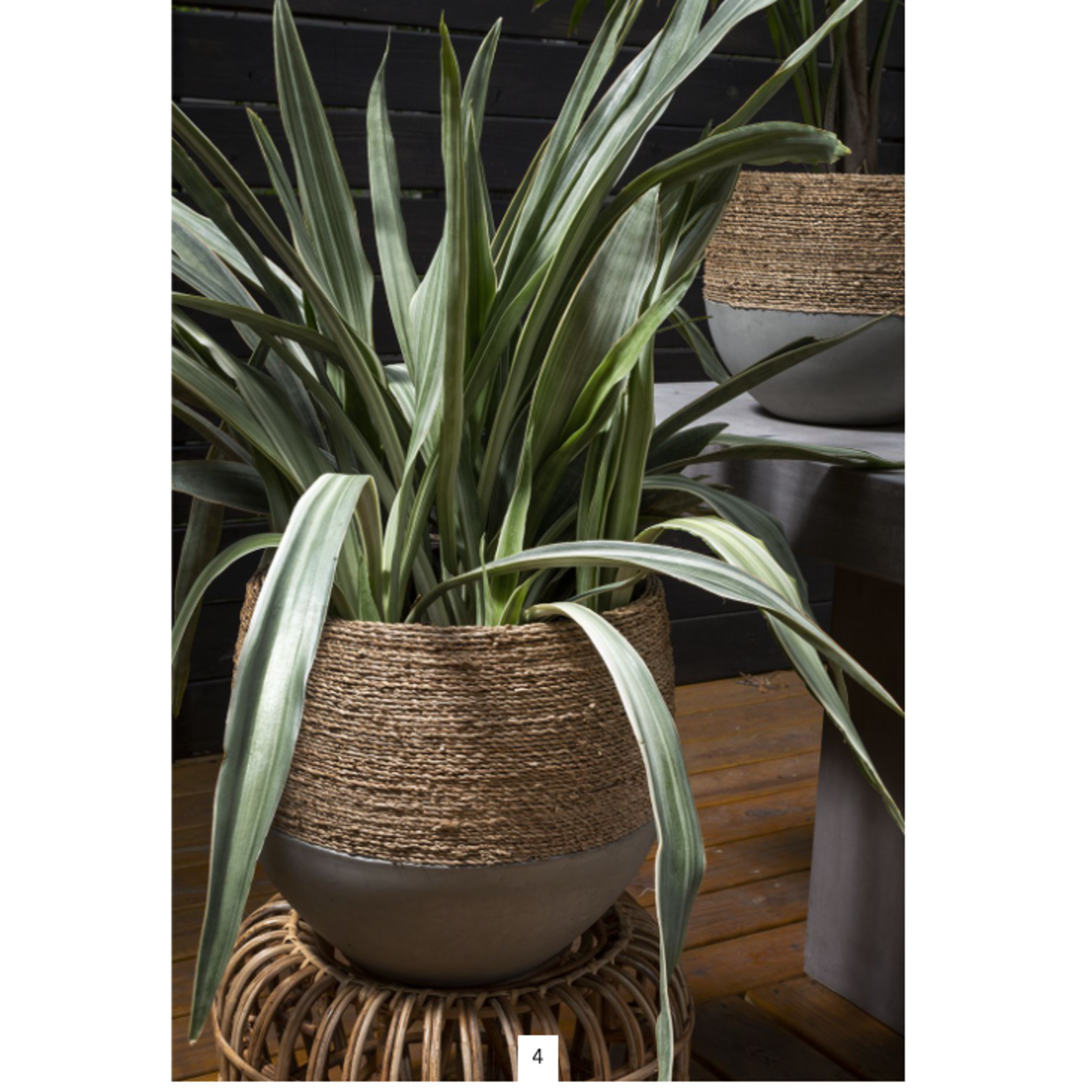 ACCENT DECOR 14.5”h x 15” CONCRETE REED POT WITH NATURAL ROPE