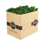 10 LBS BOX DARK GREEN REINDEER MOSS BULK