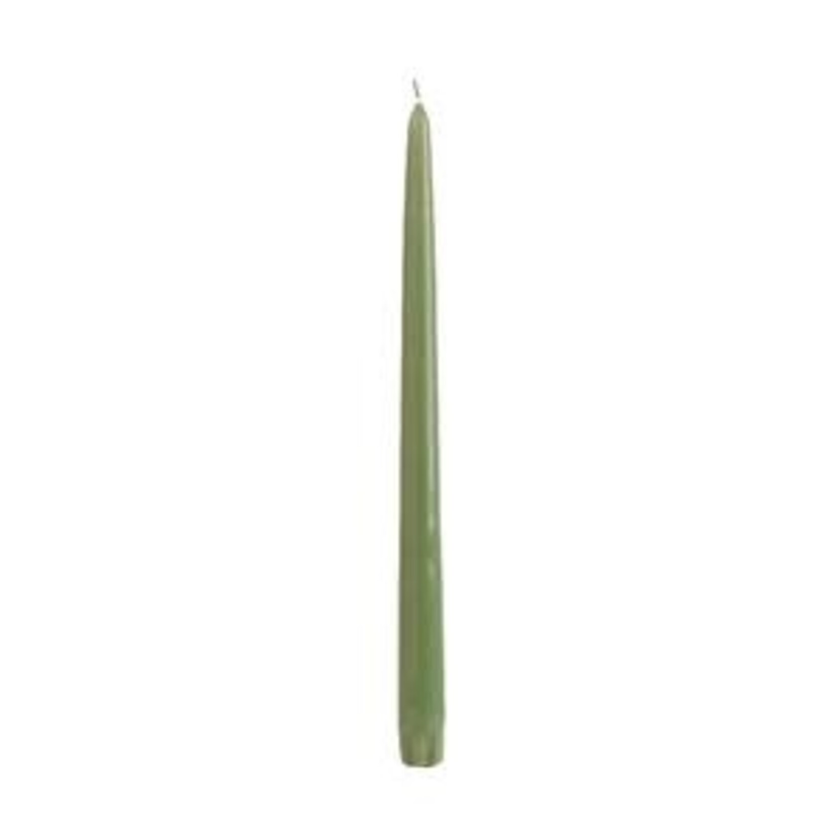 Taper Candles (Cello Wrapped) 12 INCH  BASIL