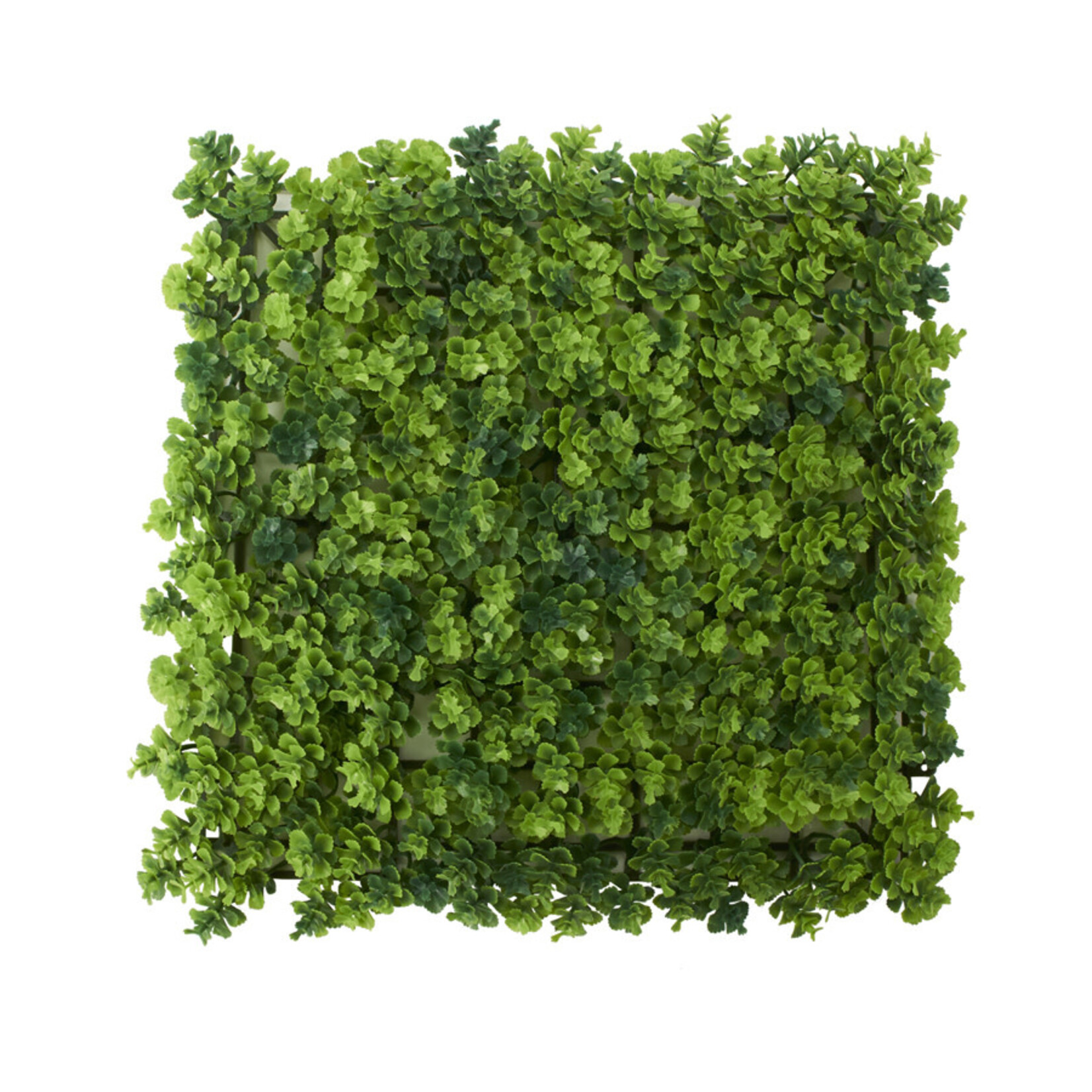 10" x 10" x 1" ARTIFICIAL JAPANESE BOXWOOD MAT