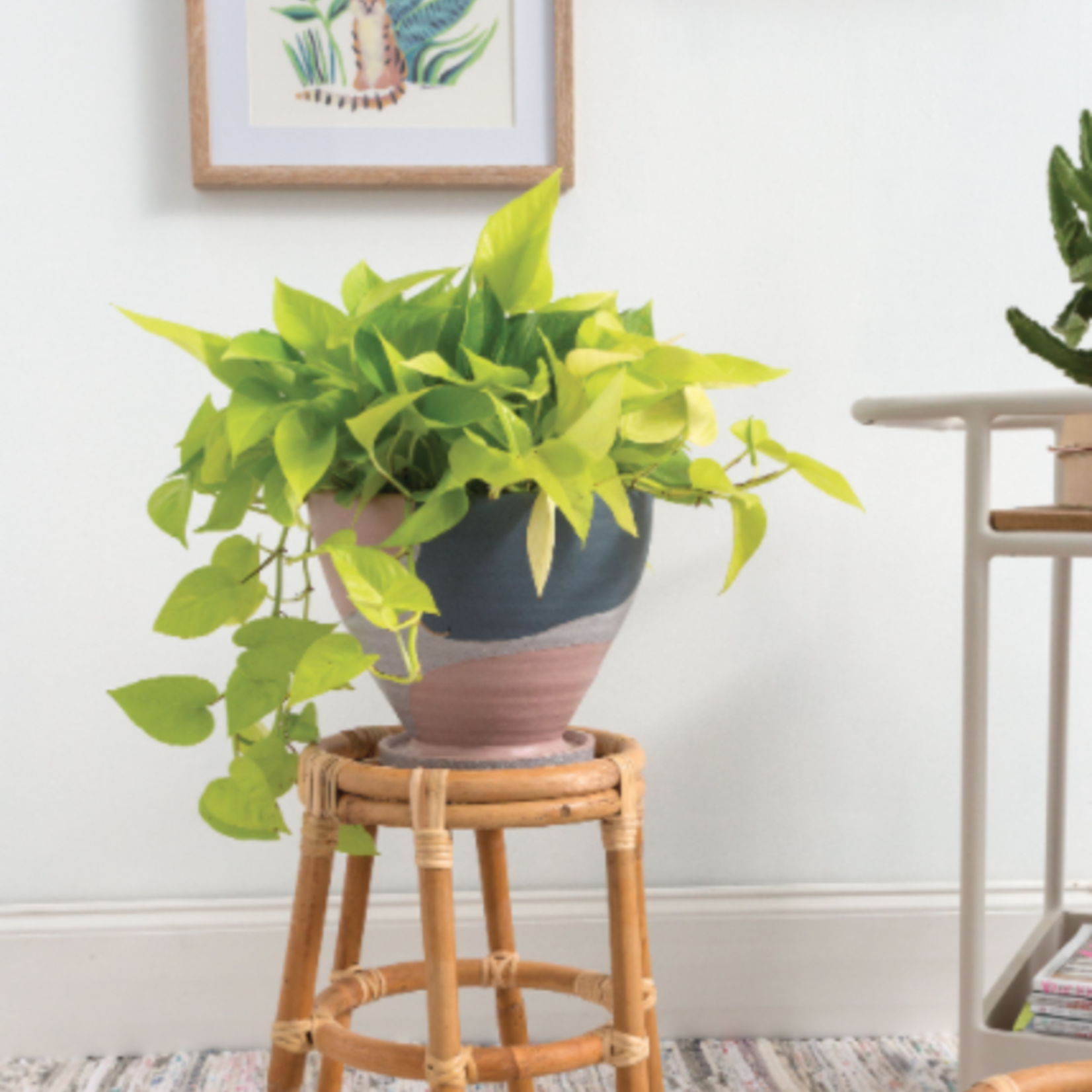 50% OFF WAS $45.79 NOW $22.90, 8"H X 10" GREY MODERA POT