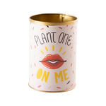 50% off was $3.6 now $1.80, 3.25"x 4.5”h Plant One PUNNY CAN (AD)