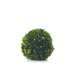 60% off was $50 now $20.00, 8” PRESERVED BOXWOOD SPHERE