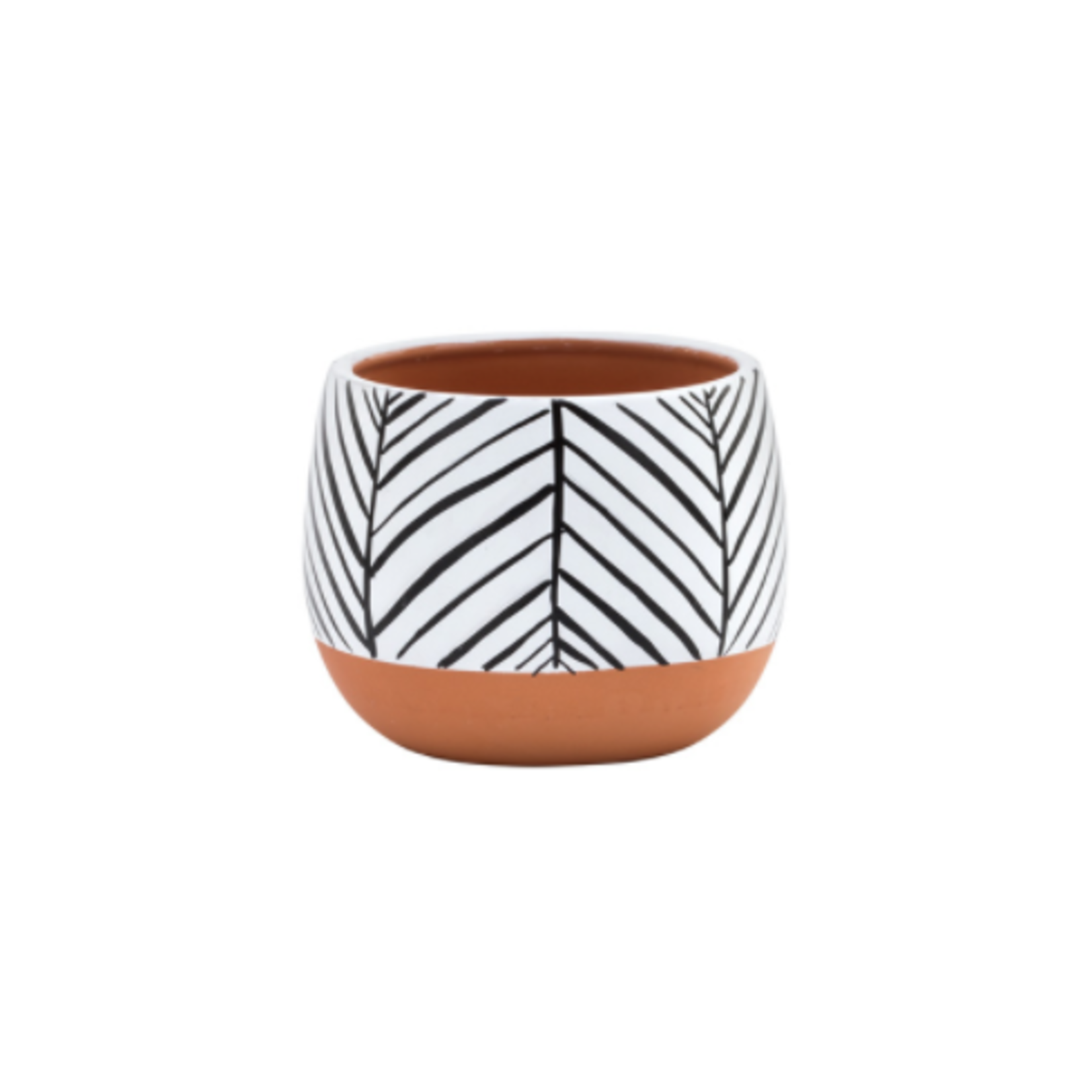 60% off was $10 now $4. 4'' ZEBRA  STRIPES PLANTER