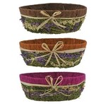 4”H X 8” VINE MOSS BASKET, PRICE PER EACH BOX HAS ASSORTMENT