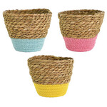 4.75”h x 5.25” SEAGRASS POTS, PRICE PER EACH BOX HAS ASSORTMENT