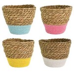 6.75”H X 7.5” SEAGRASS POTS, PRICE PER EACH BOX HAS ASSORTMENT