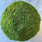 4" GREEN MOSS BALL