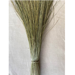 36"-40" NATURAL DUNE GRASS 8OZ, REG $10.99