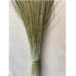 36"-40" NATURAL DUNE GRASS 8OZ