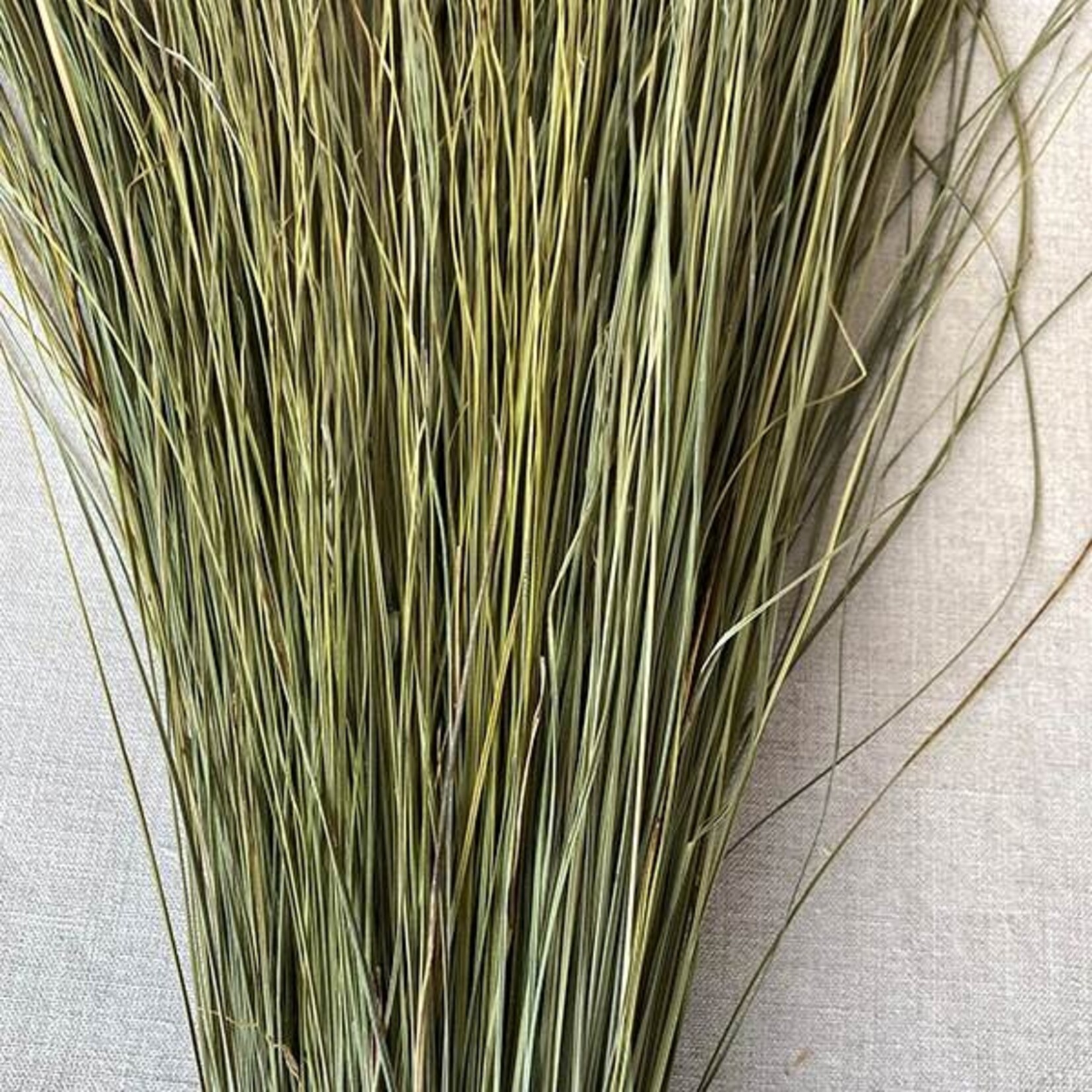 36"-40" NATURAL DUNE GRASS 8OZ, REG $10.99