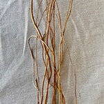 3ft-5ft CURLY WILLOW 12pcs