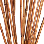 3 1/2’’ MAHOGANY RIVER CANE, 20 PCS