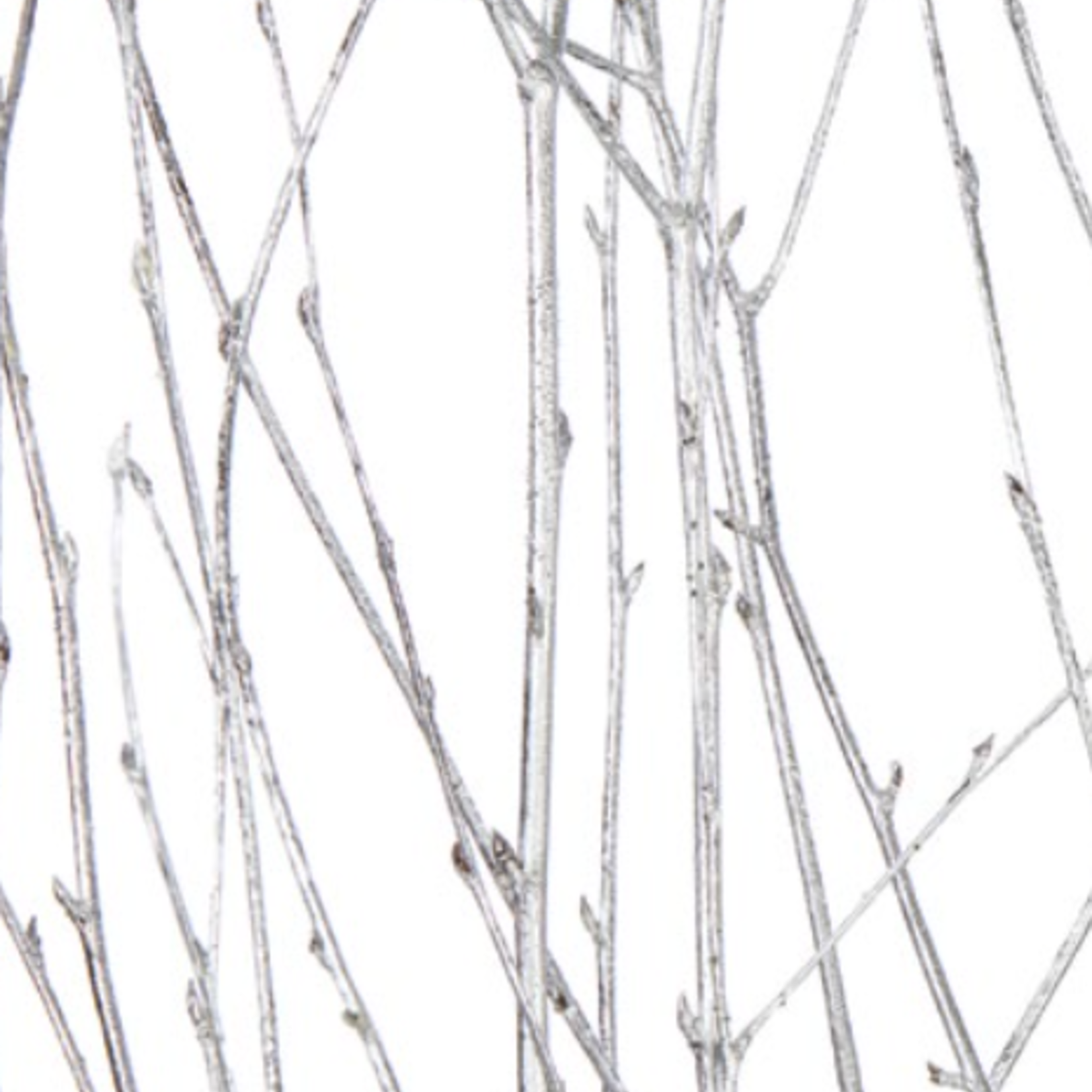 3'-4.5' BIRCH BRANCH METALLIC SILVER, 4-5 stems