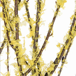 3' - 4' BIRCH BRANCH LACE YELLOW FLOCK OPAL, 4-5 stems