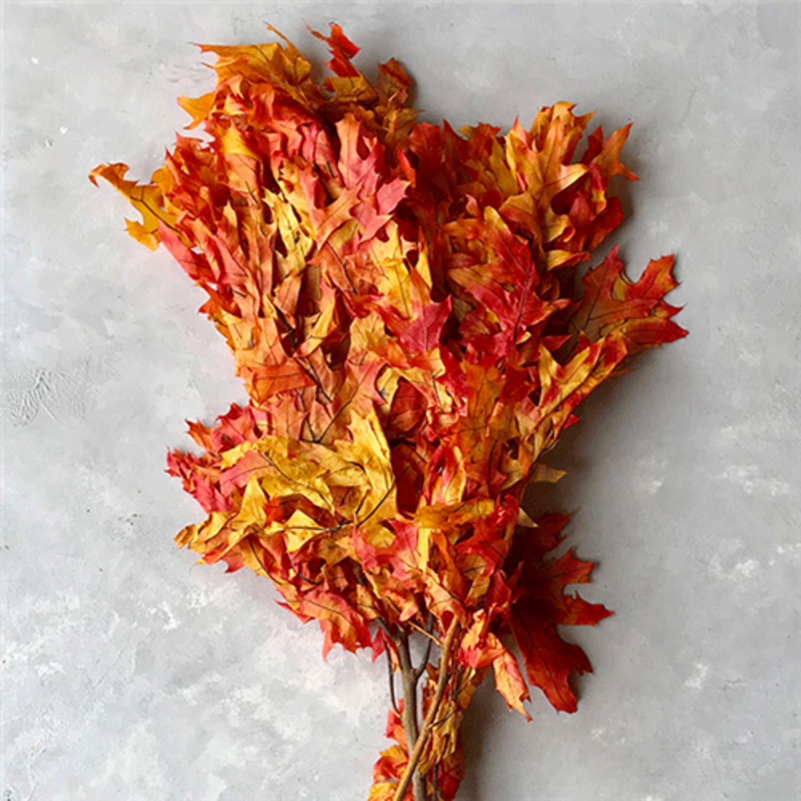 8 OZ TRANSPARENT OAK LEAVES, AUTUMN / FA, REG $7.99 50% OFFLL LEAVES
