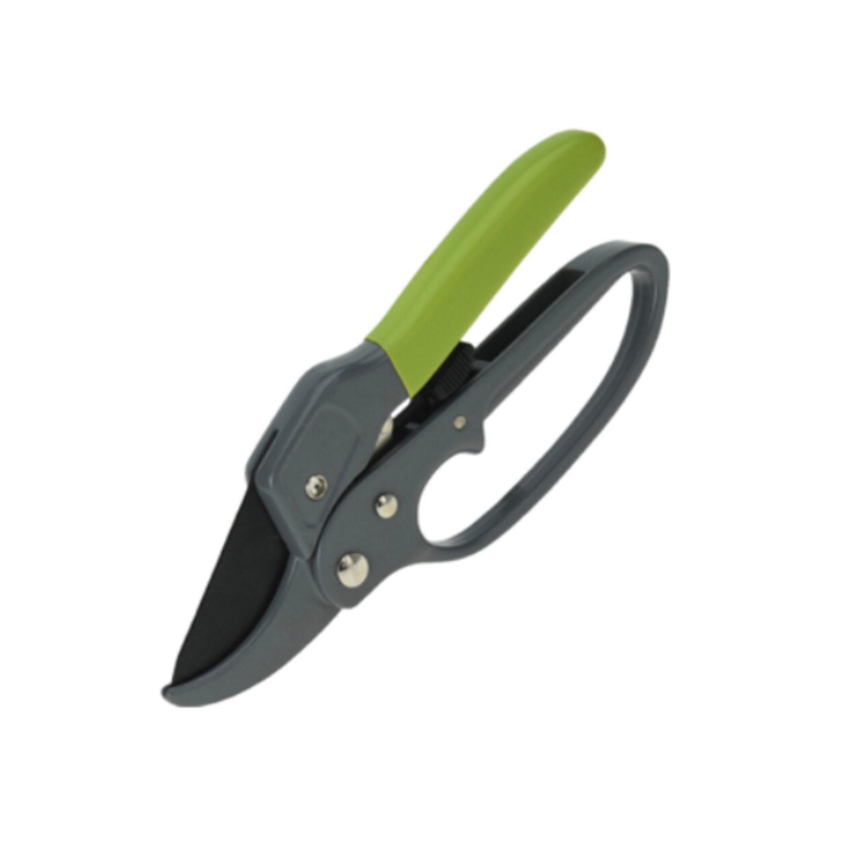 50% off was $14.50 now $7.25. GARDEN SHEARS STEEL 20CM  BUNCH CUTTER