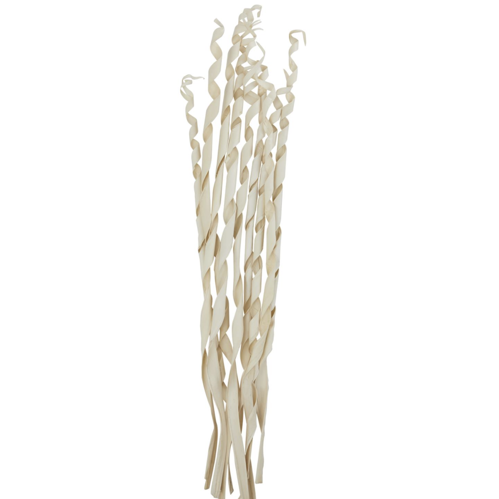 50% off was $10 now $5. 45”h CREAM PALM LEAF PALM LEAF TALL ROLLED NATURAL FOLIAGE