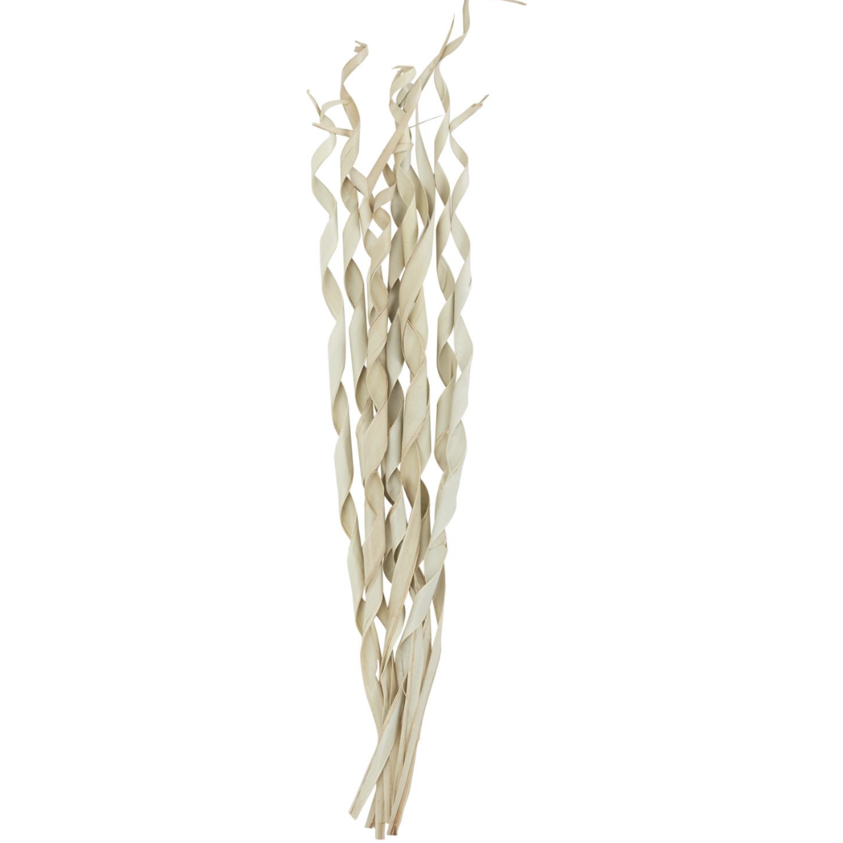 50% off was $9 now $4.49. 45"h x 8” x 3” CREAM PALM LEAF TALL ROLLED NATURAL FOLIAGE
