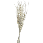 40” x 10” x 2” BEIGE DRIED PLANT PALM LEAF HANDMADE TALL FLORAL GRASS BOUQUET NATURAL FOLIAGE WITH GRAY ACCENTS