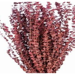 RED WASHED PRESERVED FROSTED EUCALYPTUS 1lbs (approximately 30” and 25 stems”reg $24.99