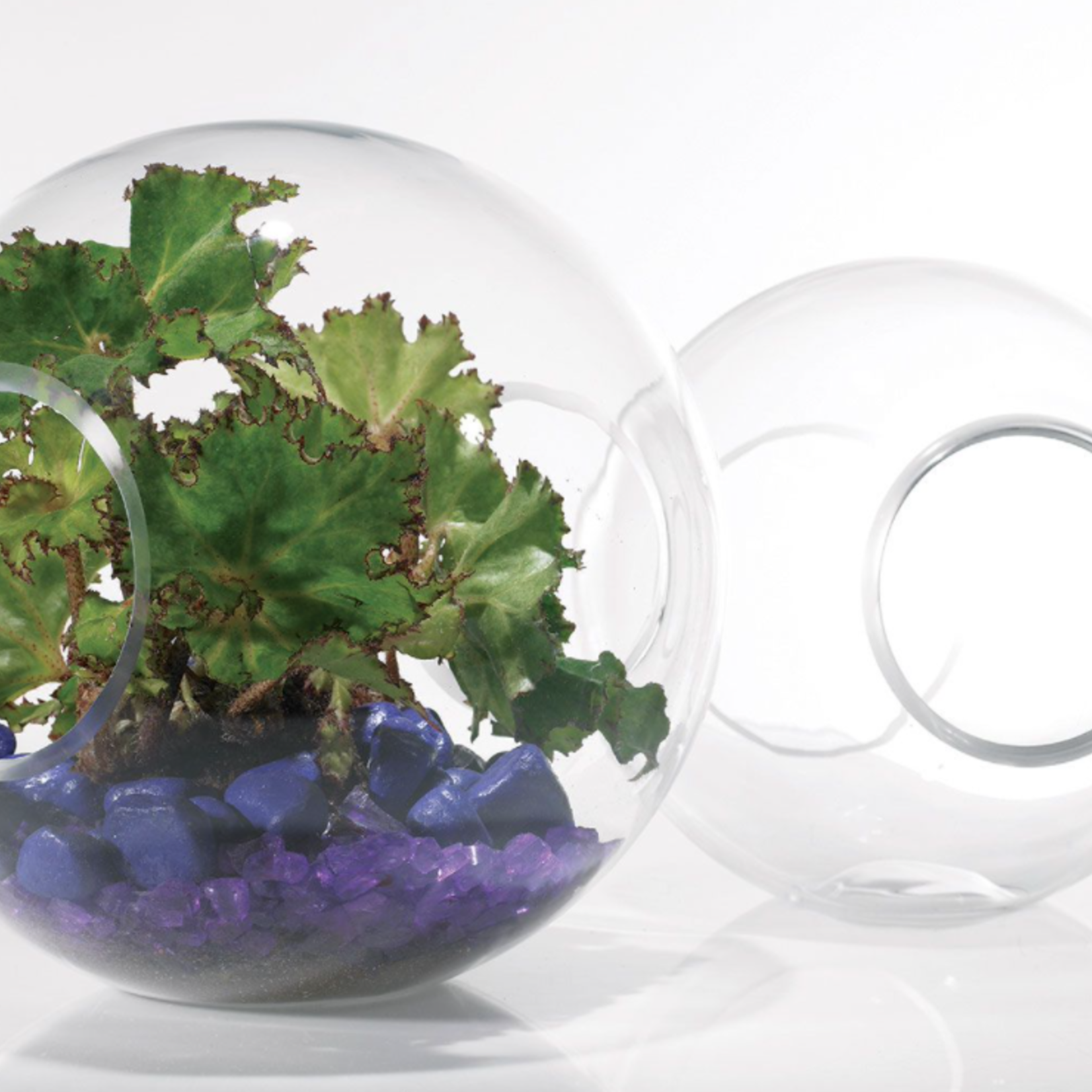 10'' x 9’'H CROSSWINDS VASE 50% off was $70 now $35.