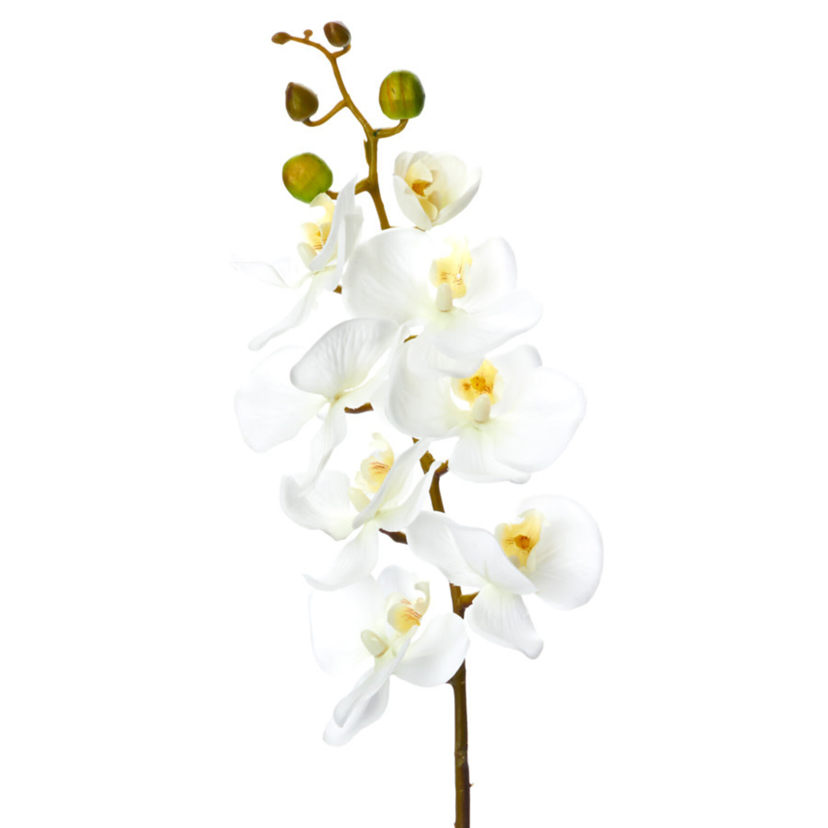 PHALAENOPSIS FAUX WHITE ORCHID SPRAY