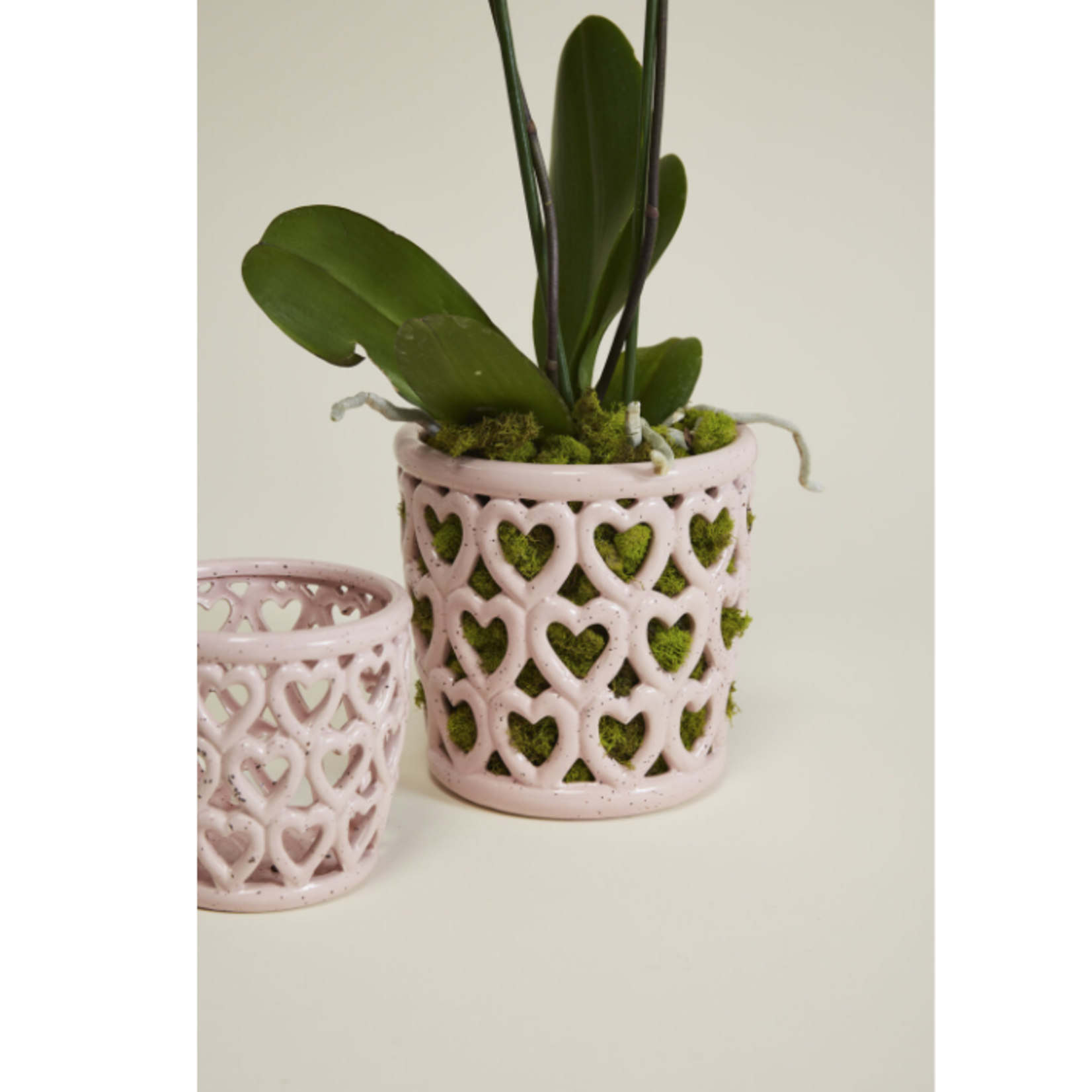 40$ off was $13 now $7.79, 5.25” X 5.25” PINK CERAMIC CHERISHED HEARTS ORCHID POT