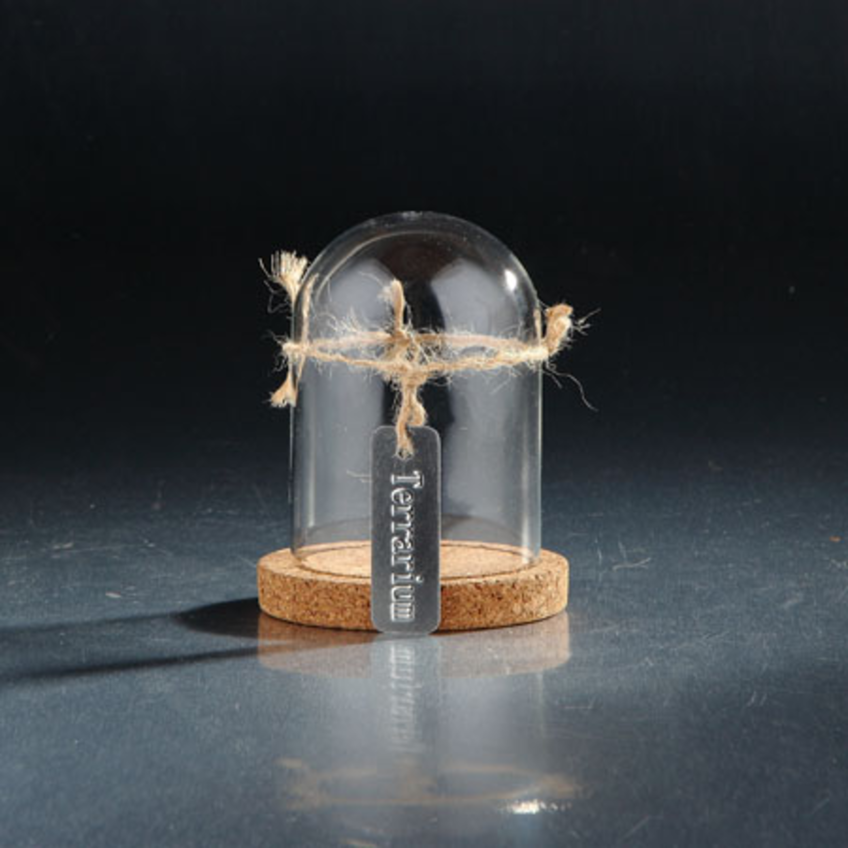 H:5" D:4" GLASS DOME W/ WOOD CORK BASE