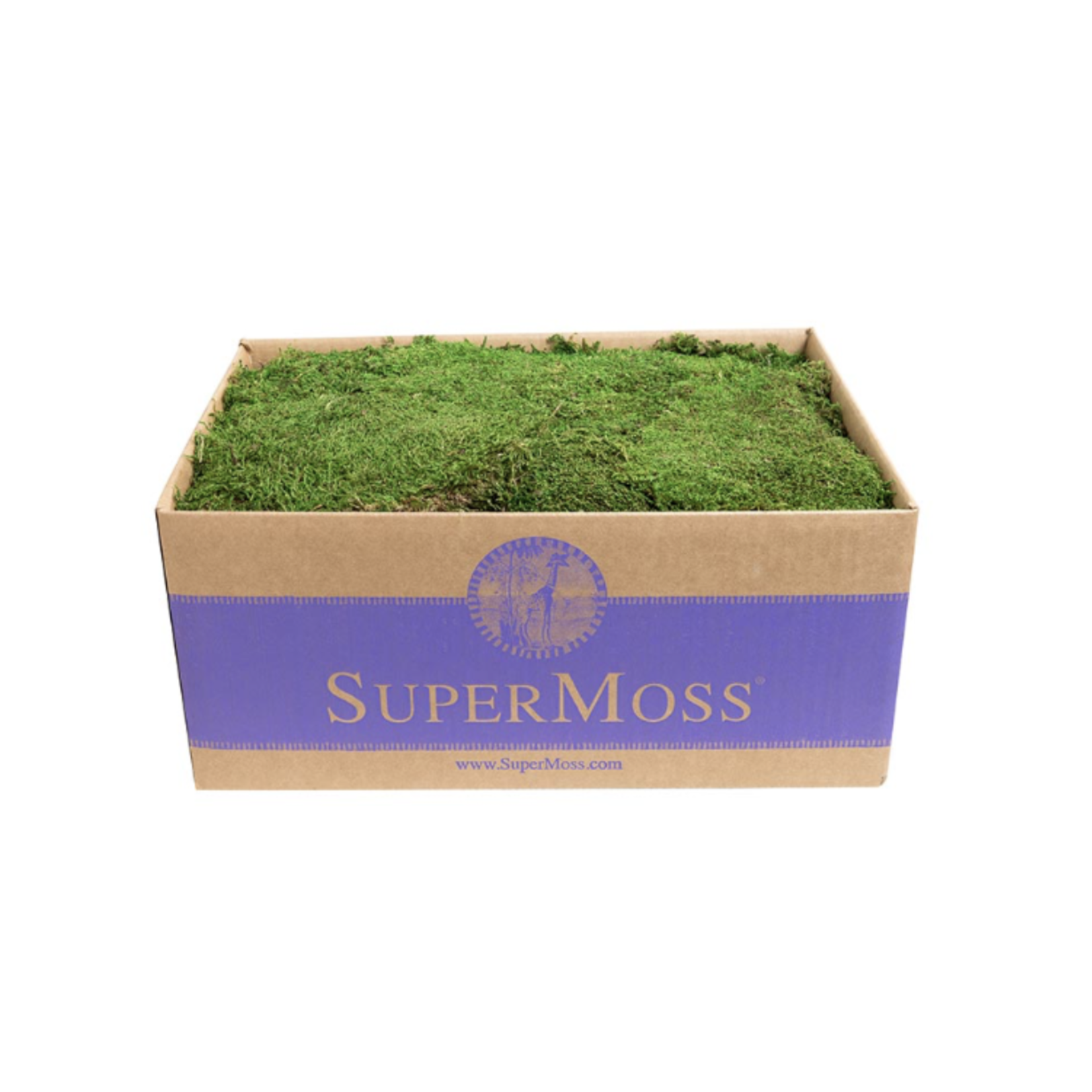 20-24FT PRESERVED GREEN SHEET MOSS