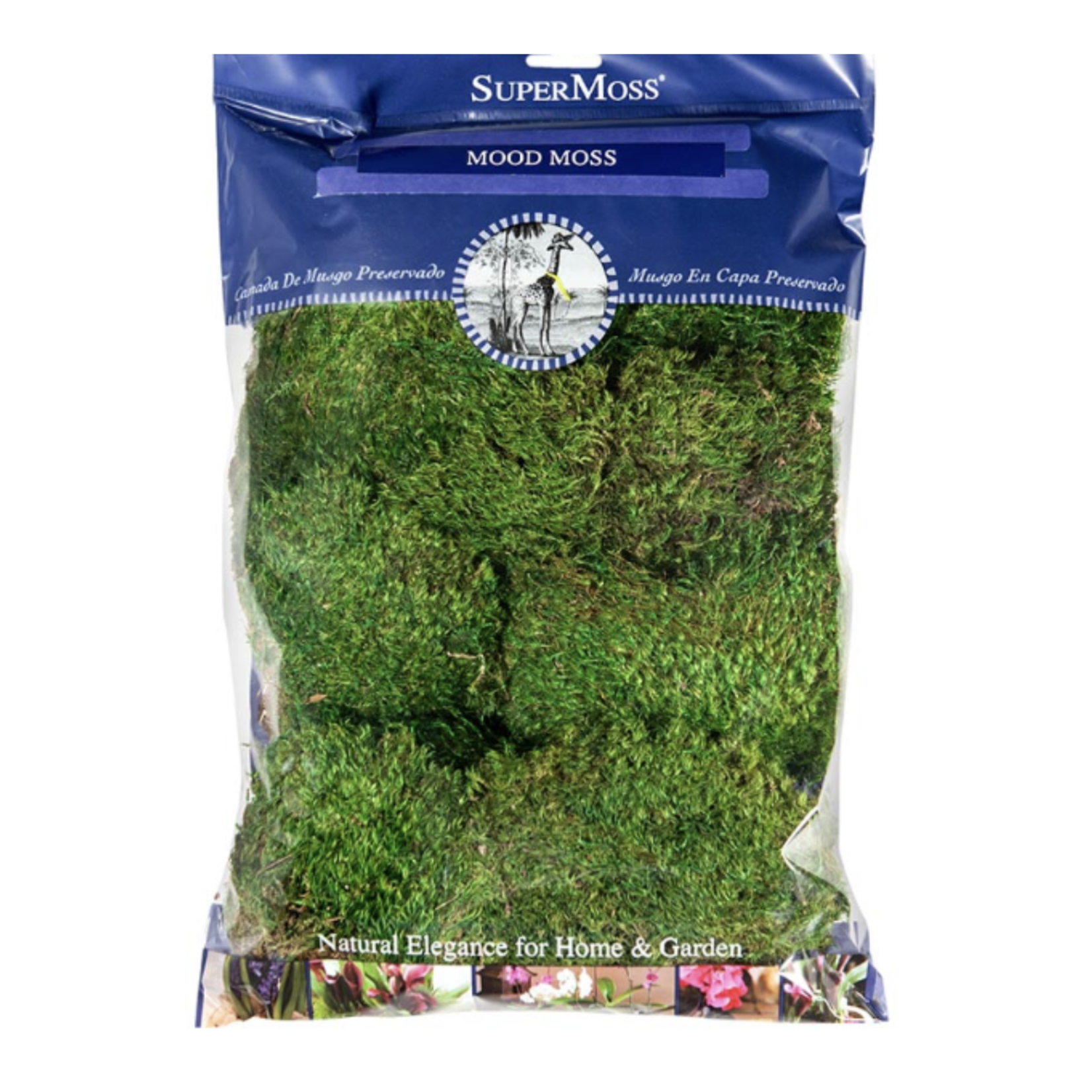 326 CUBIC INCHES PRESERVED GREEN MOOD MOSS