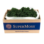 3LBS PRESERVED FROEST GREEN REINDEER MOSS