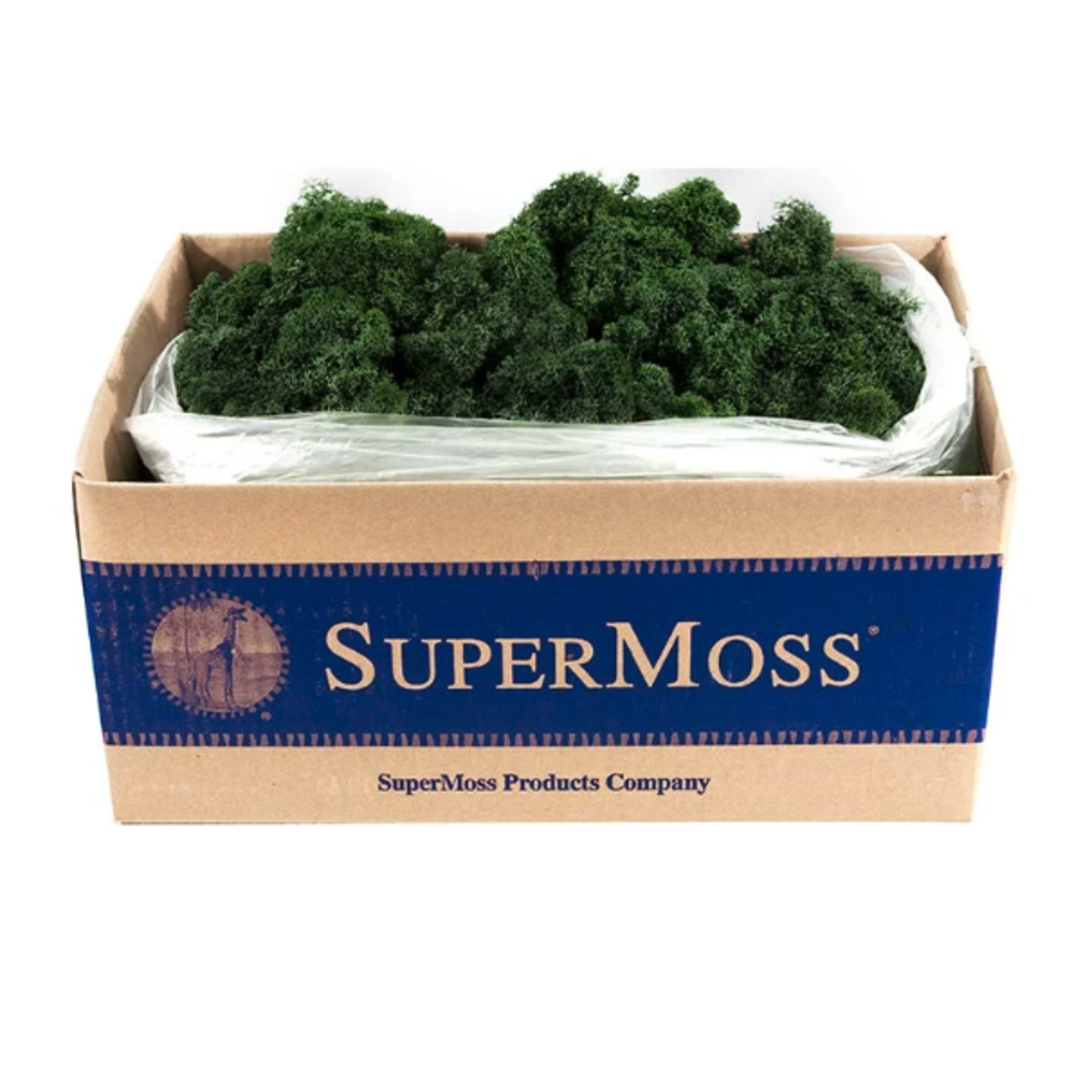 3LBS PRESERVED FOREST GREEN REINDEER MOSS