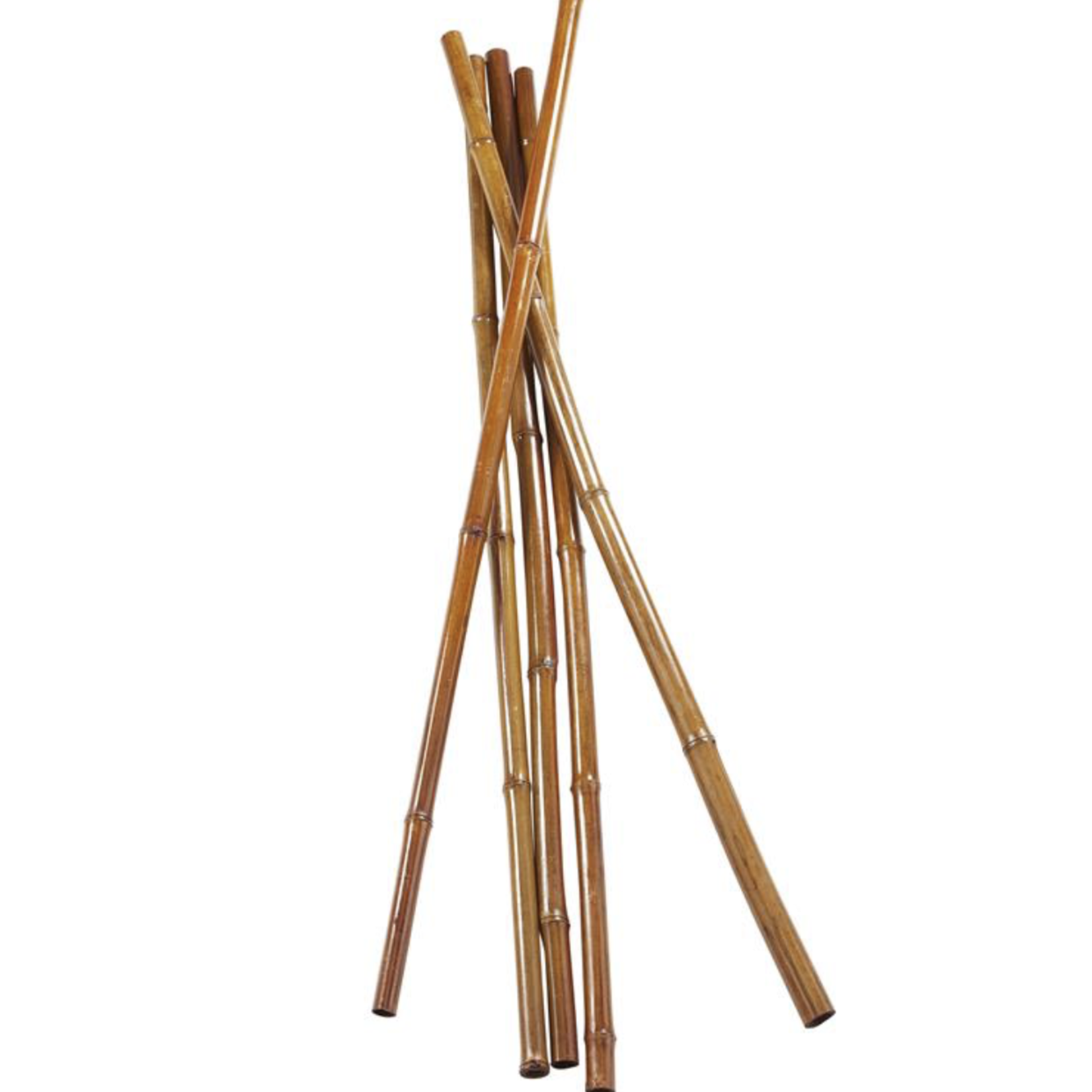47”L X 1” BROWN DRIED PLANT STICKS NATURAL FOLIAGE BAMBOO STICKS (price per pack of 5))