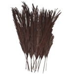 43”H X 4” DARK BROWN DRIED PLANT PALM LEAVES TALL NATURAL FOLIAGE