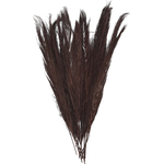 35”H X 4” BROWN DRIED PLANT PAMPAS GRASS TALL PACK  NATURAL FOLIAGE